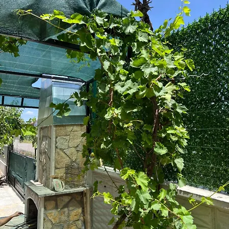 Olive Private Pool Βίλα *